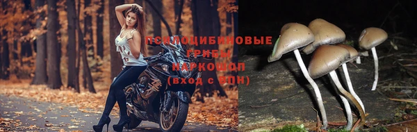 скорость mdpv Наволоки