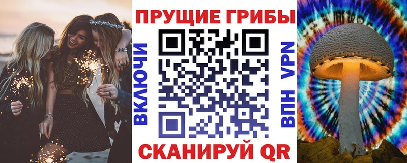 закладка  Электроугли  OMG tor  Галлюциногенные грибы MAGIC MUSHROOMS 